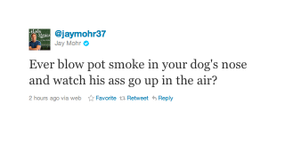 Illustration for article titled Two Pets Of Jersey Shore Cast Members Mysteriously Harmed